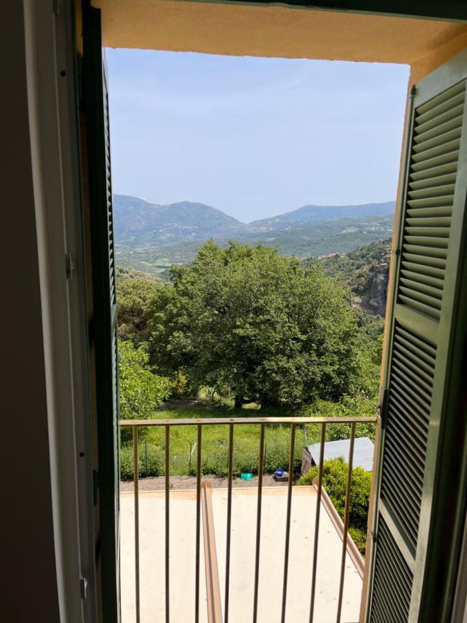 Appartement Castagnu à Santo-Pietro-di-Tenda Extérieur photo
